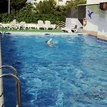 Albatros